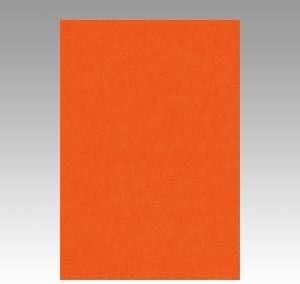 （業務用セット） 文運堂 ニューカラーR 八ツ切 横271&times;縦392mm 8NCR-235 しゅいろ 100枚入 【&times;2セット】 生