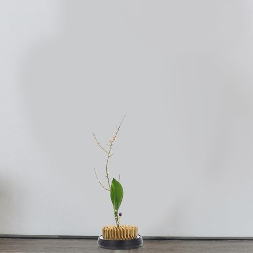Kenzan de cobre con funda de goma de 2 piezas para arreglos florales 7