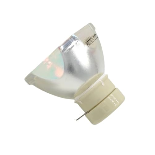 Lampe pour VPL-EW7 et EX7 avec ampoule LMP-E191 haute luminosité
