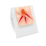 Perineal Suturing Model –...