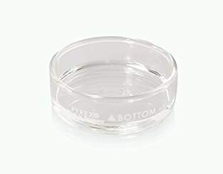 Small Clear Dissection Petri Dish