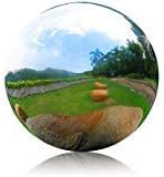 HomDSim 30 cm/12 inch Diameter Gazing Globe Mirror Ball,Silver Stainless Steel Polished Reflective Smooth Garden Sphere,Colorful and Shiny Addition to Any Garden or Home