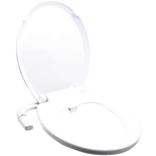 22 Dual Nozzle Bidet (You Should Know)