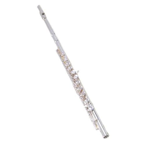 ���S�җp�t���[�g 16���N���[�Y�h�z�[�� C���W���[�t���[�g�iE�L�[�t���j(Silver)