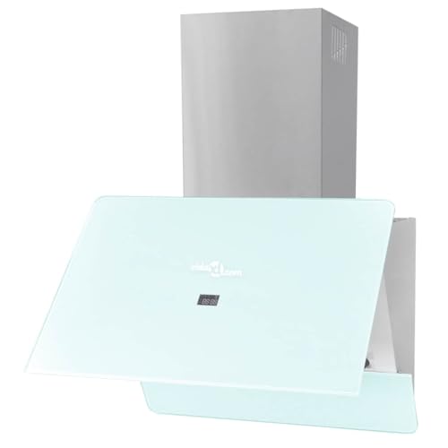 vidaXL Hotte Murale Inclinée Verre Trempé avec Écran 600 mm Hotte Décorative