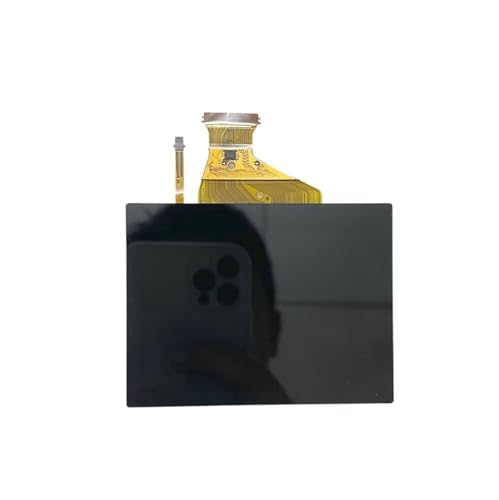 ^b`LCDfBXvCXN[AobNCgCANZT[tACanon EOS R5 R5C SLRƌ݊AXyAp[č