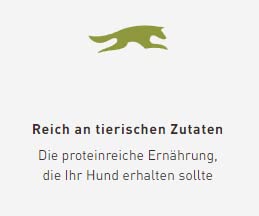 Acana Grasslands | Doppelpack | 2 x 340 g | Trockenfuttermittel für Katzen Aller Rassen und Lebensphasen | Enthält viele tierische Proteine aus Huhn, Truthahn und Ente