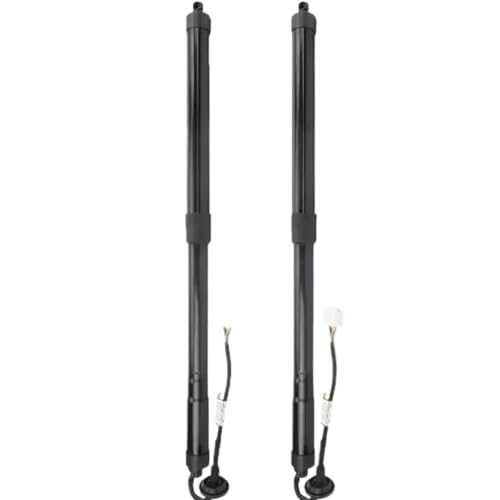 Tiges hydrauliques pour X-Trail Rogue pour charger le coffre