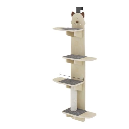 Angoda hA|L^[ VRؐ ȃXy[X݌v ܂Ƃpbht ^i p ݂艺 ȒPt LVя ^^LΉ (i 170cmj12mm ؑw{[h - lR)