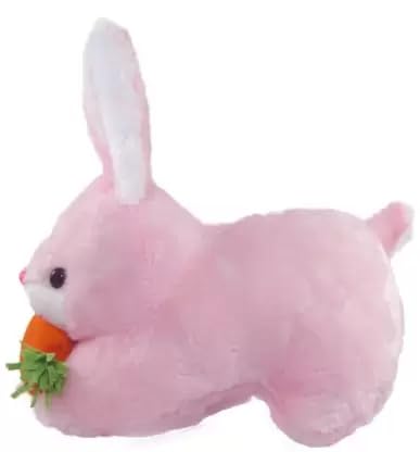 Image of Combo of 4 Animals Soft Toy Kids Squirrel, Dolphine, Turtle & Pink Rabbit .All Best Stuff Toys for Kids (Enjoy) Playing Birthday Gift etc.