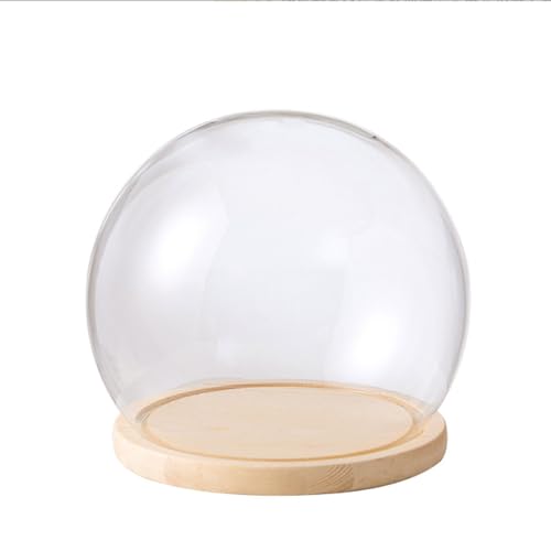 KXh[ ؎x[X KXJo[ KXh[ fBXvCP[X iωԕr gC t[ N[VF i Iׂ (EbhJ[,񂫂イ18cm)