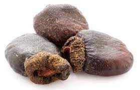 Serankottai-Biba-Semecarpus Anacardium-Bibwa-Bhilawa Seeds-Bilava Beej-Bhilava-Bilawa-Bhallataka: Marking Nut Uses (50 Gms) (B0C784TRLN) Amazon Price History, Amazon Price Tracker