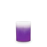 TATSU-CRAFT（タツクラフト）クリア ダストボックス カクテル S 3.4L VT バイオレット ゴミ箱 ふたなし おしゃれ スリム 分別 屋外 フタなし お洒落 小さい 白 キッチン バスルーム ベッドルーム リビング カフェ