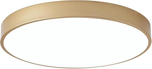 Modern Flat Light Circular Macaroon Ceiling Lamp Ironwork Colorful Lighting