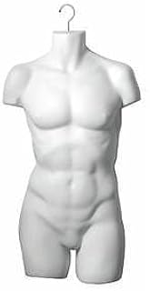 White Male Torso Mannequin Styrene, 54742