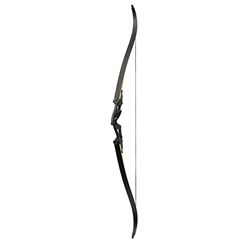 Black Hunter-Fire Hunting American Hunting Bow Recurve Hunting Bow 60 Inches 20-55 Pounds Right Hand Detachable Split Body Practice Shooting (35 Pounds) #TOP1
