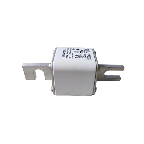 Fusible rápido 170M3016 individual para módulos y componentes digitales de control 2