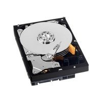 Amazon.com: WD Purple 3TB Surveillance Hard Disk Drive -5400 RPM
