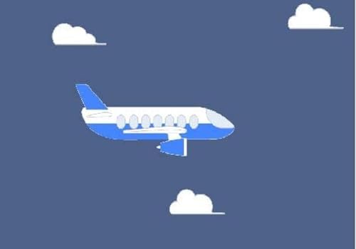 EarPlanes Cirrus Healthcare Ear Plugs For Adults Ear Plugs 1 Pair