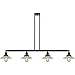 Innovations 214-BK-G2-LED LED Island Pendant from Franklin Restoration Collection 8.50 inches
