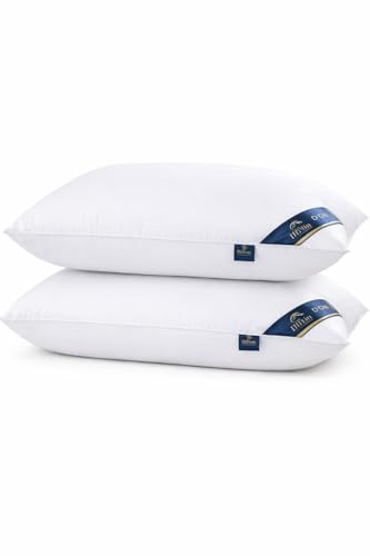 2-Pack Luxury Soft Down Alternative Sleeping Pillows for All Sleep Positions