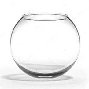 CAS Glass Fish Bowl 1 Litre (6 INCH, Without Neck Collor (W/C)) (B0DG3JLJLS) Amazon Price History, Amazon Price Tracker
