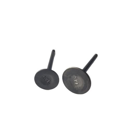 Piezas de Repuesto Válvula de admisión y válvula de Escape for Motocicleta, for Virago XV250 V Star 250 Route 66