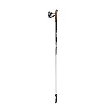 leki nordic walking amero pali, nordic walking stock amero, black