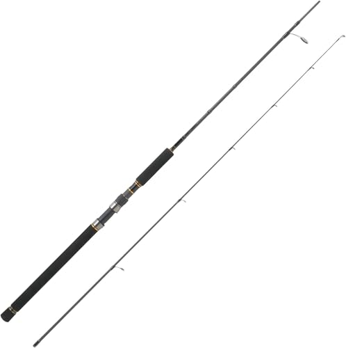 Abu Garcia オーシャンフィールド　サワラキャスティング　702ML Amazon | AbuGarcia (アブガルシア) オーシャンフィールド