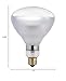 Philips LED 416750 Heat Lamp 125-Watt BR40 Clear Flood Light Bulb Warm White