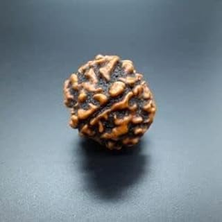 ASTRO CARE INDIA 1 One Mukhi Ek Face Rudraksha GOL Dana Beads Fine & Premium GOL Dana Rudraksha Beads Silver Caps & Red Thread एक मुखी रुद्राक्ष,.-picture-48