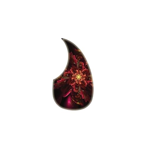 Protection universelle Folk pour guitare au studio ou en voyage