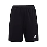 adidas Jungen ENTRADA22 Fußball-Shorts, Schwarz, 164(13-14Y)