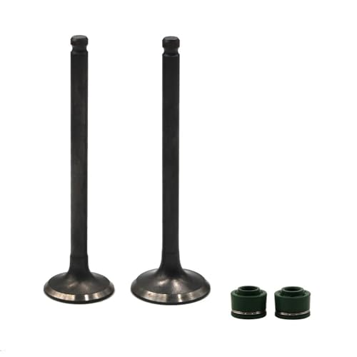 Soupapes d'échappement résoud la perte de puissance moteur moto VT250 et VTR250