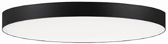 Maxim Lighting Trim 1-Light 9 Surface Mount Ceiling Light | Black Finish | White Glass Shade | Modern Surface Mount for Kitchens and Hallways | Low Profile Surface Mount | 57884WTBK