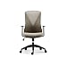 Produktbild Flexispot BS9 ergonomischer bürostuhl bürosessel drehstuhl mit Rollen