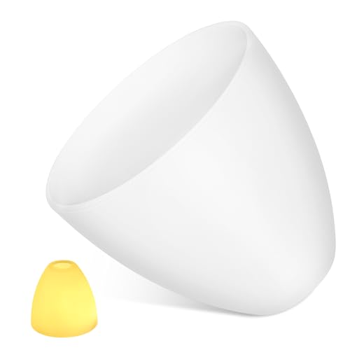 CALLARON Paralume in Vetro Smerigliato Attacco E27 Copertura per Lampadario da Parete e Piantana Superficie Satinata per Arredamento Contemporaneo