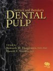 Hardcover Seltzer and Bender's Dental Pulp Book