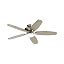 Painted Brushed Nickel