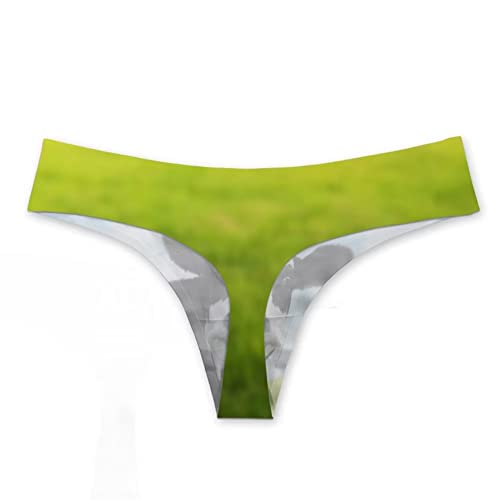 Allhaitong Cow Print Funny Underwear Women Sexy Breathable High Cut Panties Low Rise Cheeky Hipster S-3Xl #TOP1