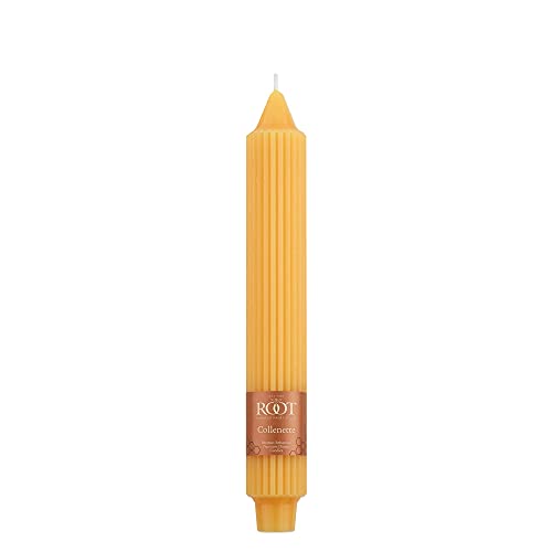 Bougies de dîner collenette grecque 22,9 cm caramel non parfumées