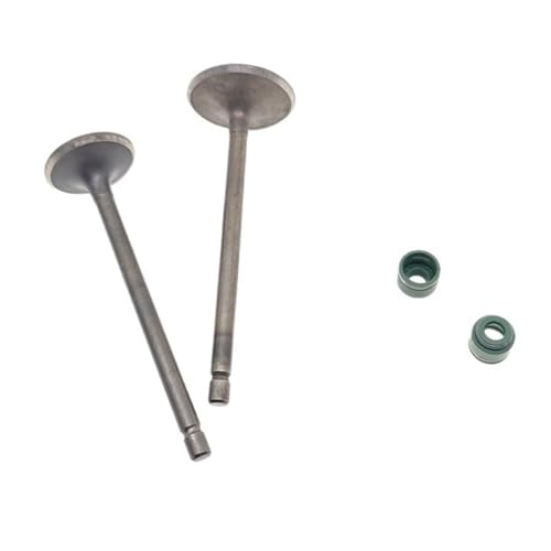 Válvula de admisión y escape de 67 mm con retén para motores CG175, CG200 y TY223