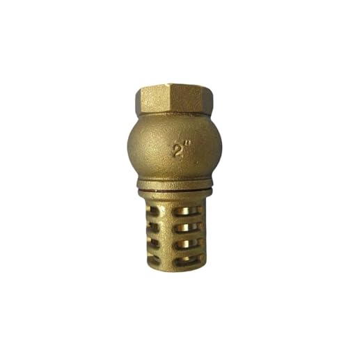 Clapet de crépine 2"1/2 BSPP en laiton pour pompe à eau - 2