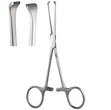 See full amazon price history chart for Forgesy Surgical Instrument Stainless Steel 410 Grade Allice Tissue Forceps (6 Inches) Forgesy Surgical Instrument Stainless Steel 410 Grade Allice Tissue Forceps (6 Inches) (B07TFTN4XR) Amazon Price History, Amazon Price Tracker