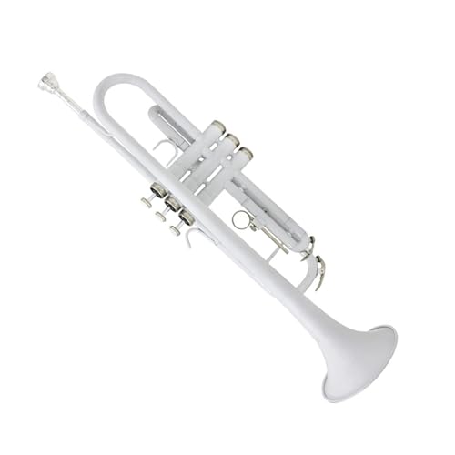Trompetas Trompeta De Latón Blanco En Si Bemol Para Principiantes Adultos