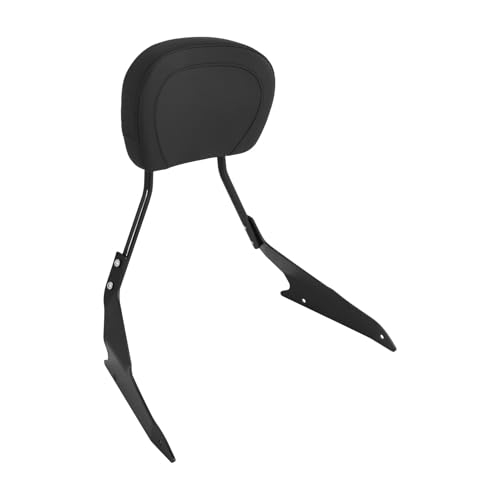 Support de dossier passager arrière amovible et rembourré Boulevard M109R