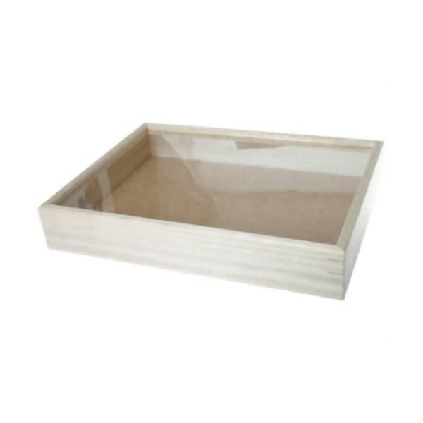 Amazon | 志賀昆虫普及社 インロー硝子蓋式標本箱 (桐製コルク板敷