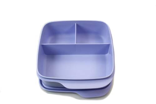 Tupperware to Go Lunchbox Clevere Pause 550 ml 550ml Brotdose mit Trennwand Eco+ Schule hellblau