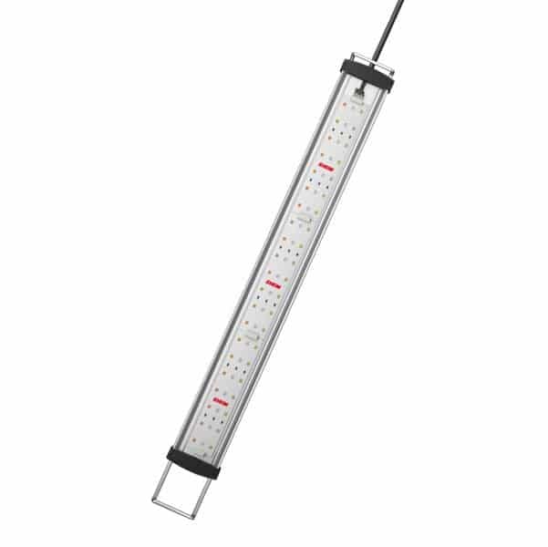 Eheim PowerLED + Fresh-Pflanzen, 664 mm : Amazon.de: Haustier