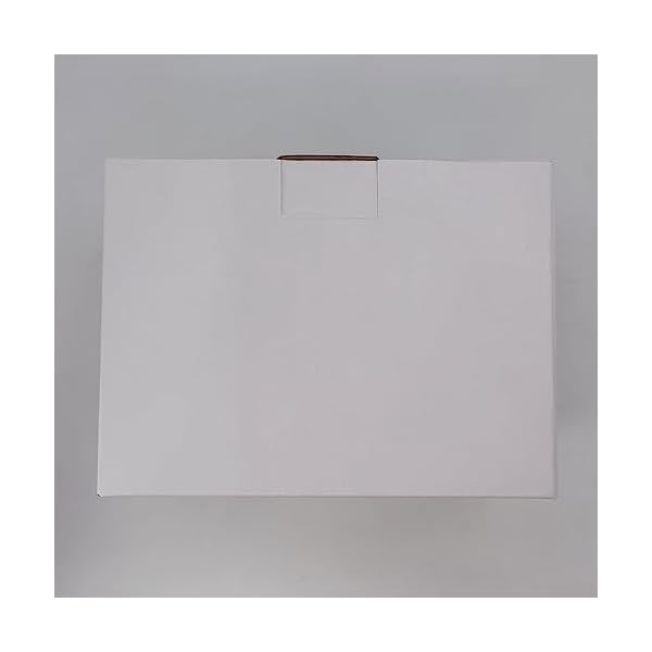 Meision Lichterkette Batterie Timer, LED Lichterkette mit Batterie Innen Außen, Lichterkette Batteriebetrieben 8 Modi, ideal für Weihnachten Halloween Party Hochzeit Deko, 5m/10m Warmweiß/Bunt – Bild 14
